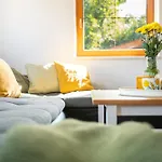 Holiday Home Smrzovka